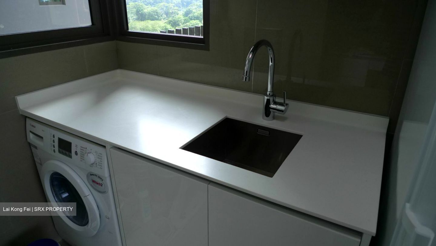 Skyline Residences (D4), Condominium #571844941